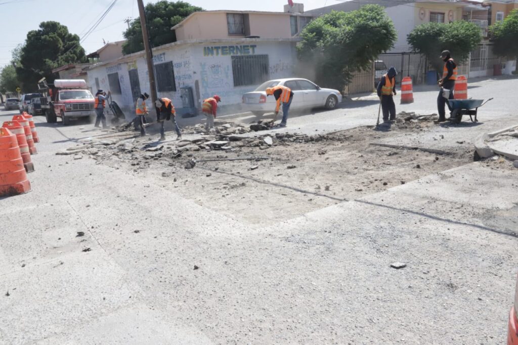 bacheo programa transparente