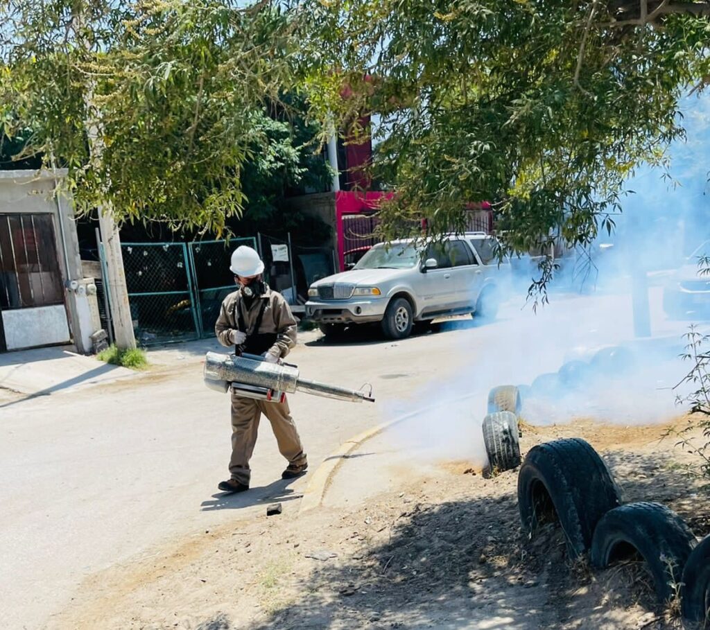 fumigan vs garrapatas