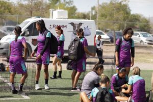 piden bravas adopten perros