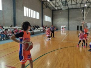 basquet