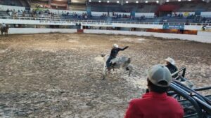 rodeo