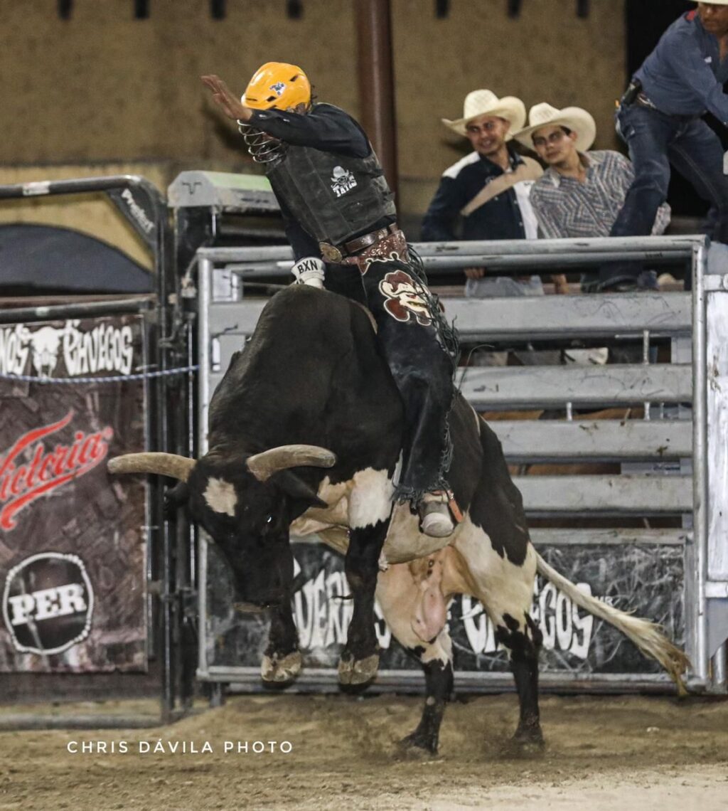 torneo rodeo