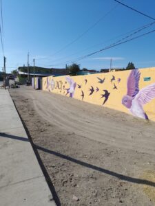uacj pinta casas