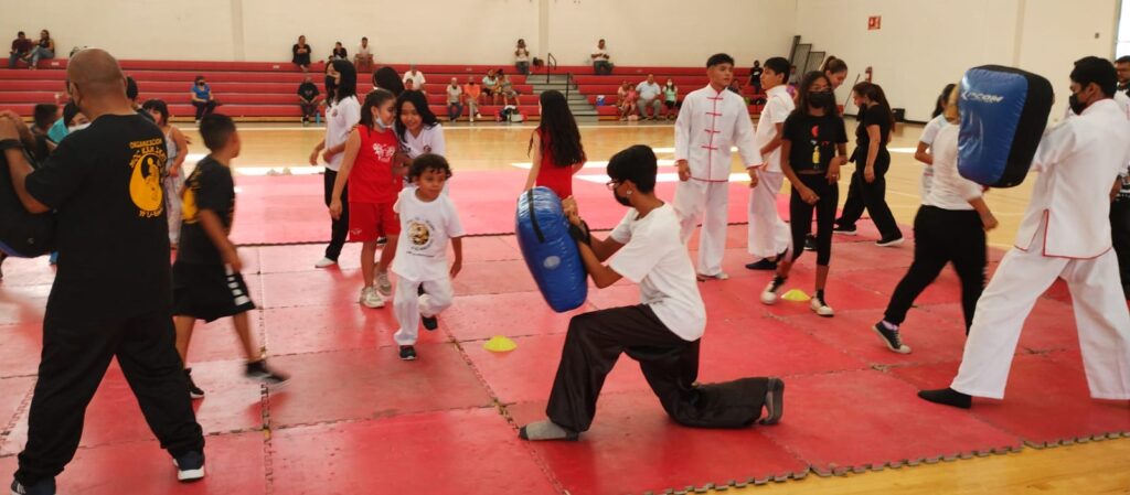 wushu