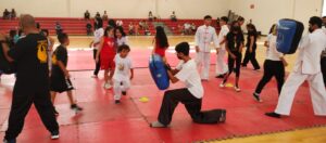 wushu