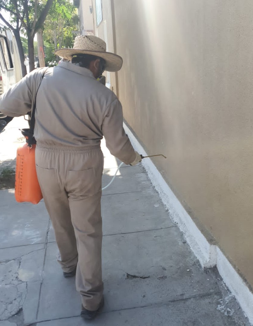 fumigan el centro