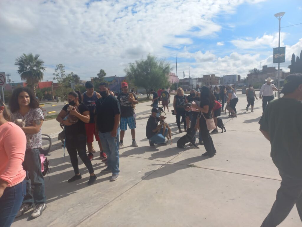 registro mascotas a esterilizar