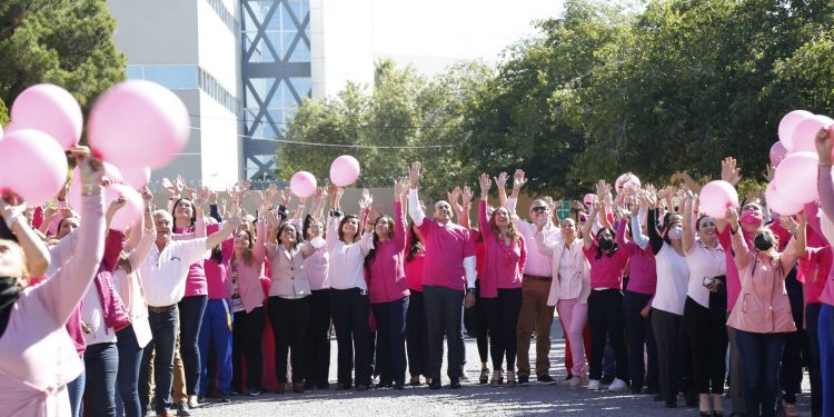UACJ rosa