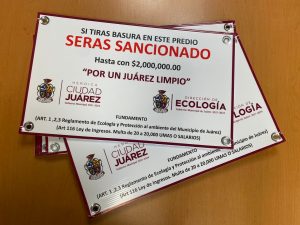 volante ecologia