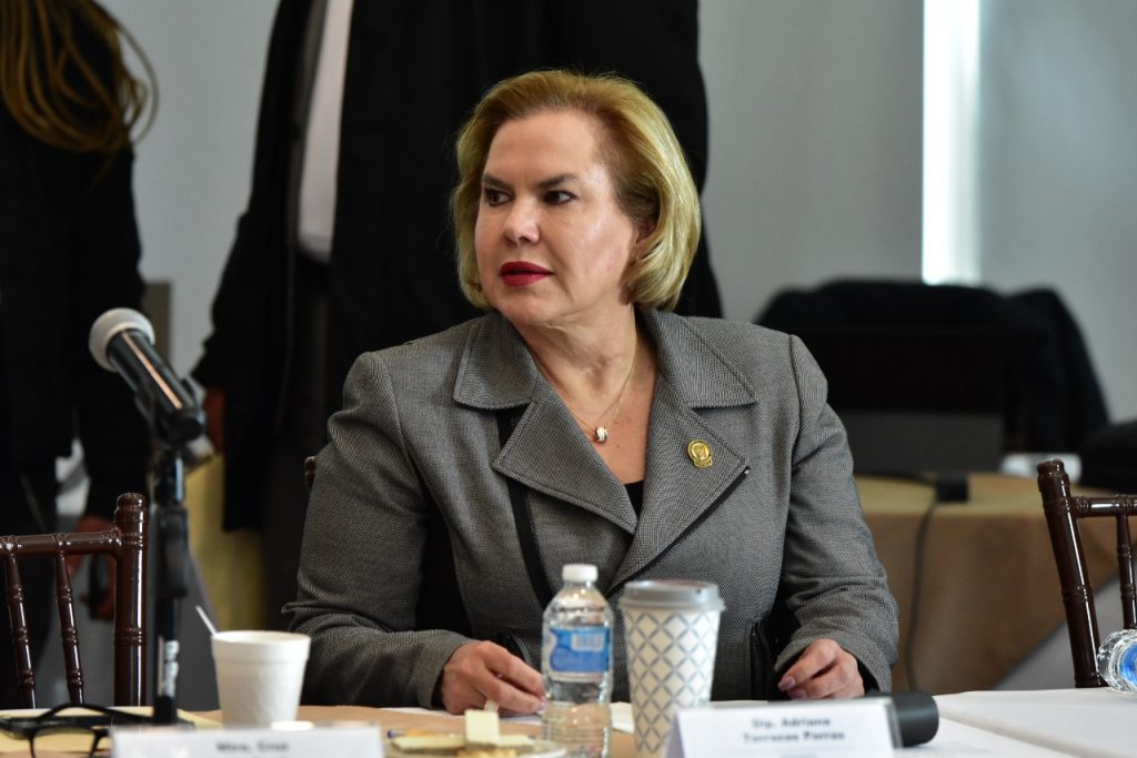 Adriana Terrazas comparecencia Cruz
