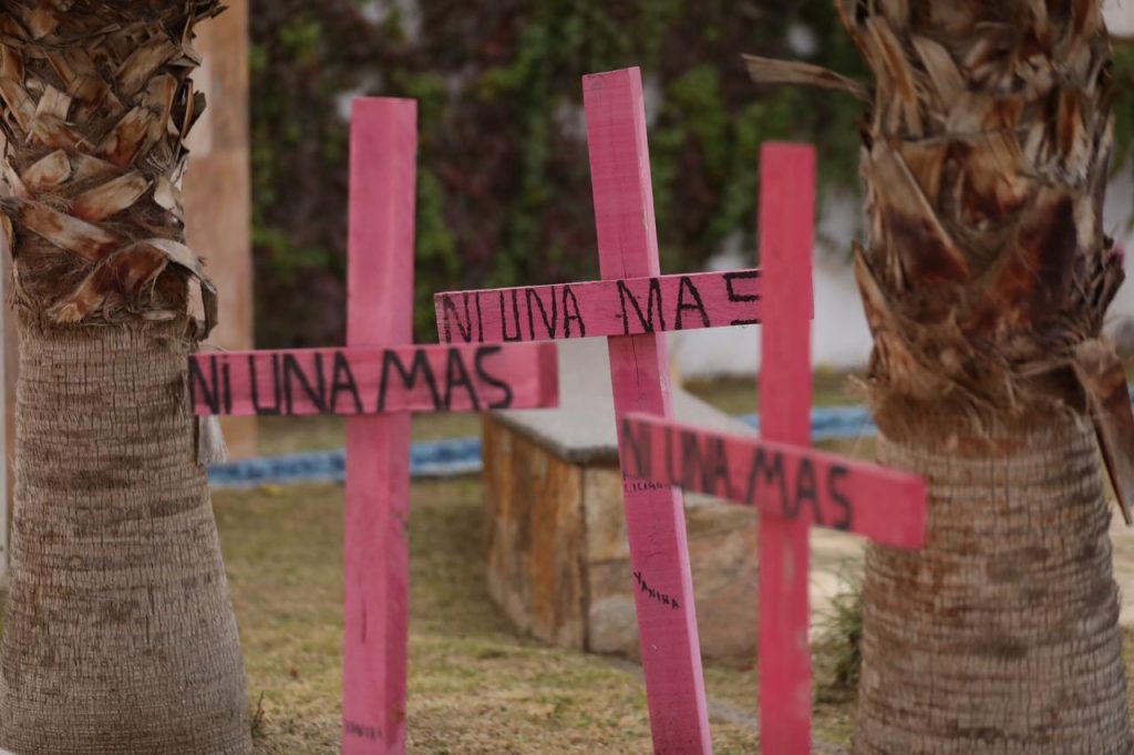 Cruces rosas