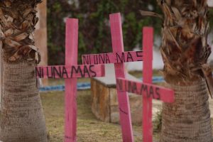 Cruces rosas