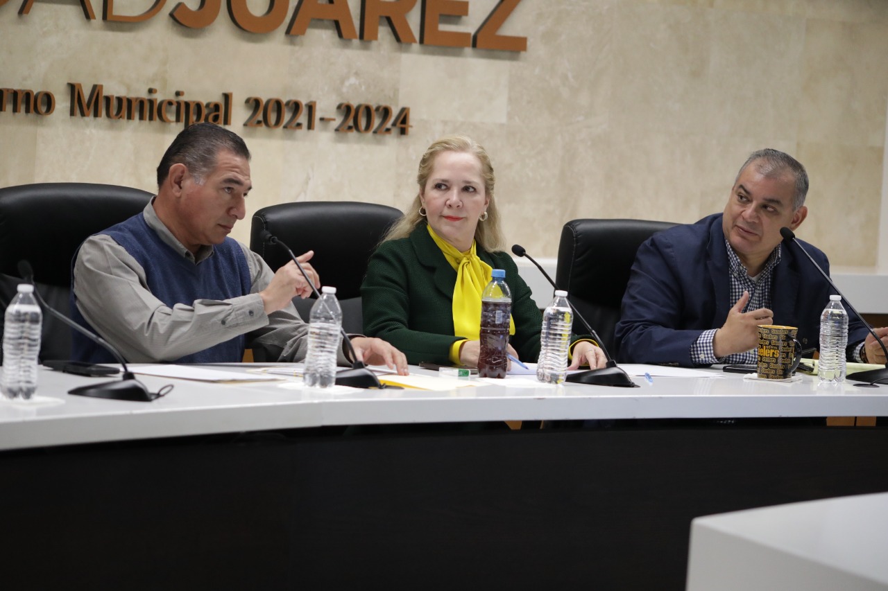 analizan proyectos