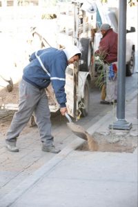 forestacion ave. juarez