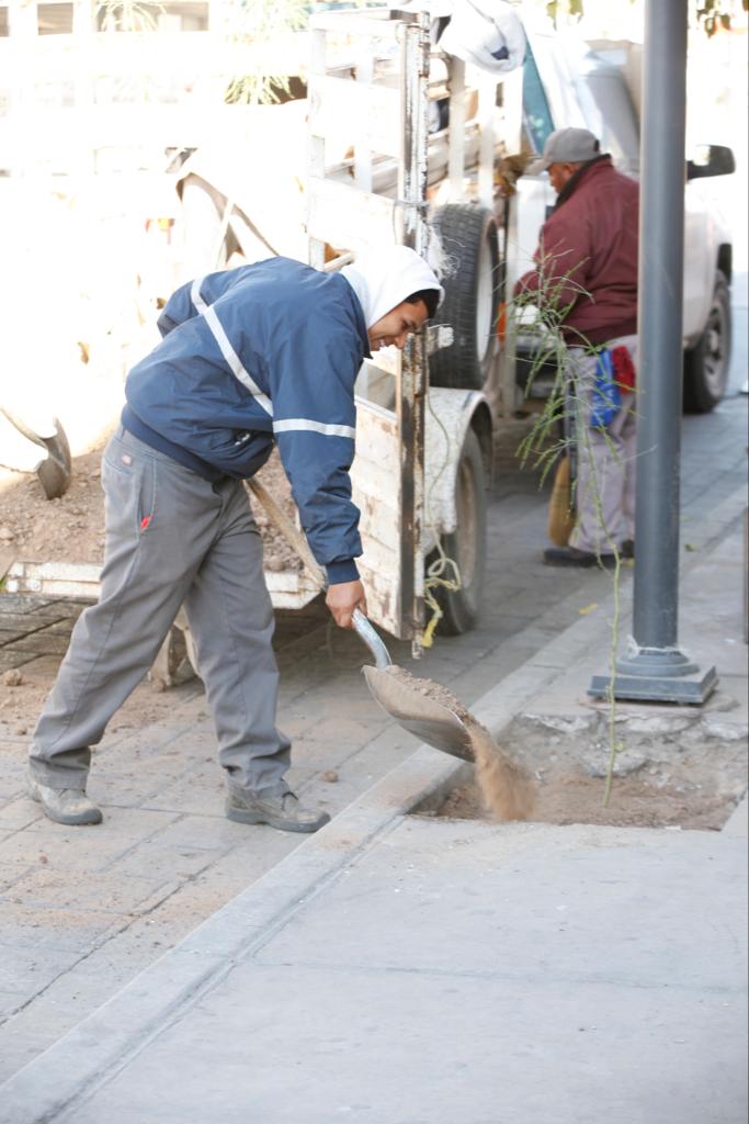 forestacion ave. juarez