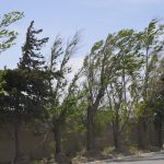 Alertan por fuertes ráfagas de viento de hasta 75 km/h en Ciudad Juárez