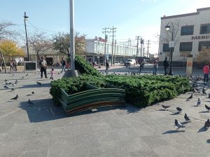 IMG_20221206_133747
