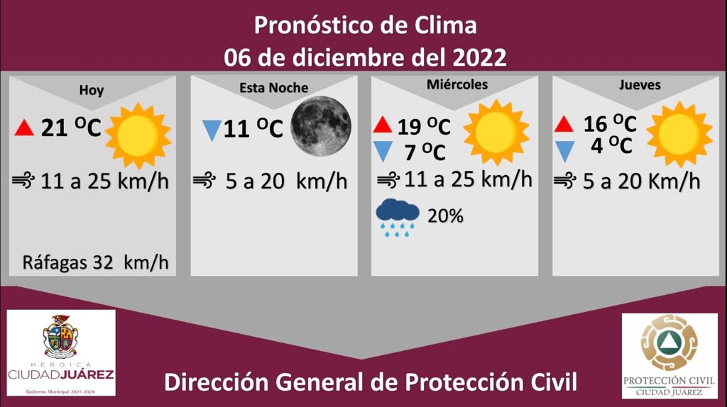 prono-6 dic