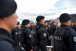 swat estatal