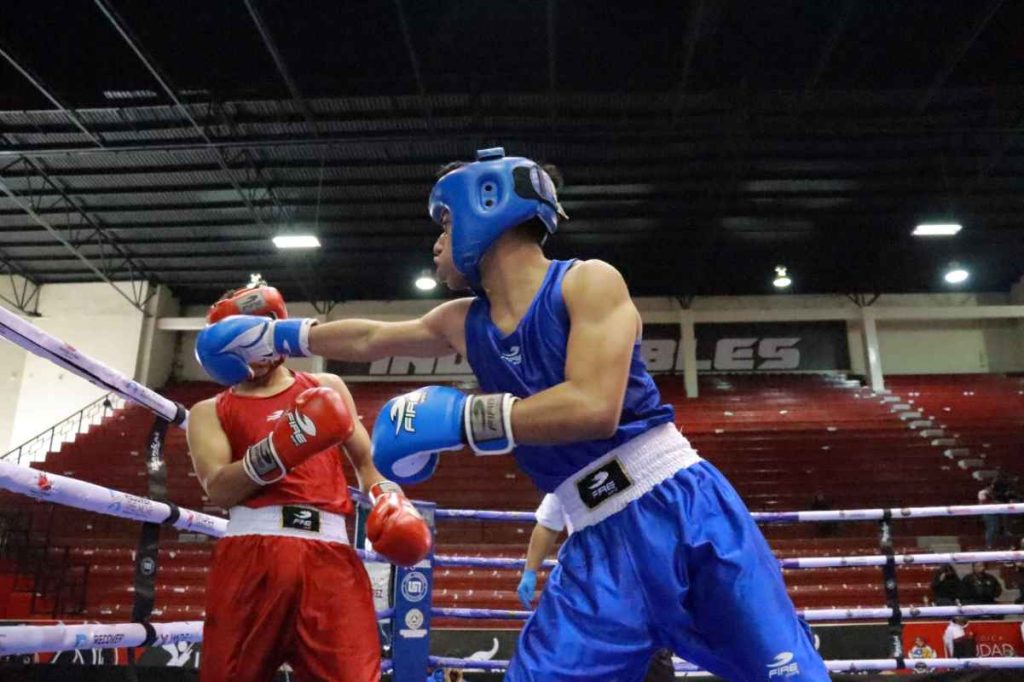 torneo box