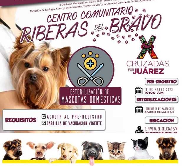 campaña esterilizacion