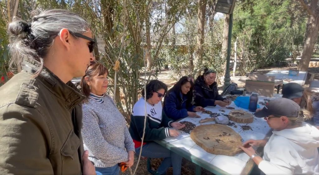 voluntarios vivero