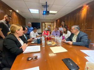cambios consejo seguridad