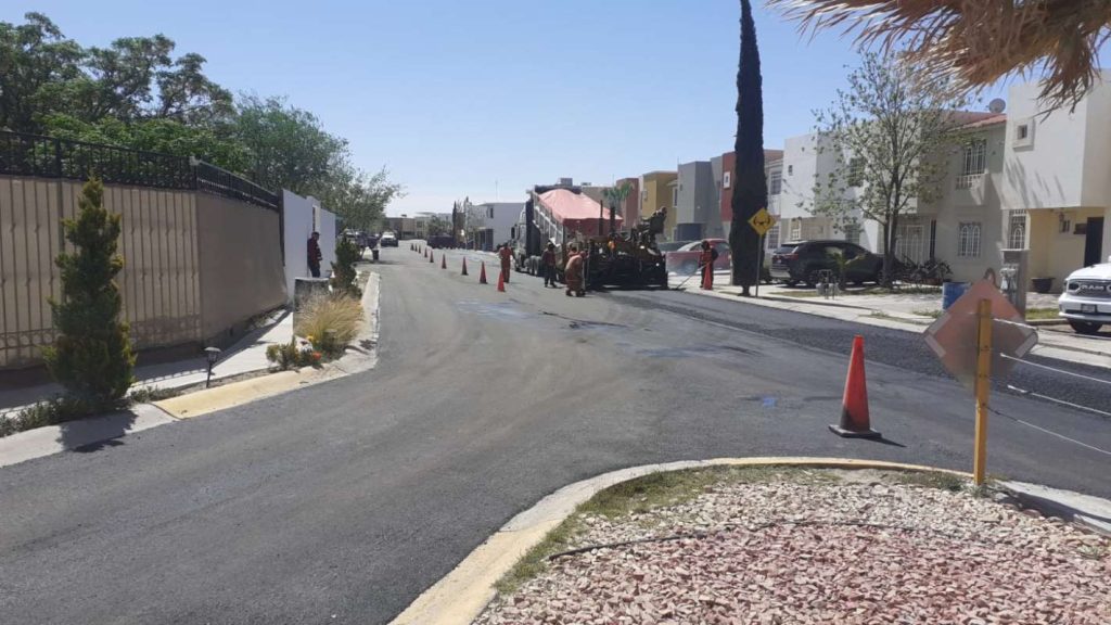 circuito nuez