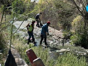 limpian acequia madre