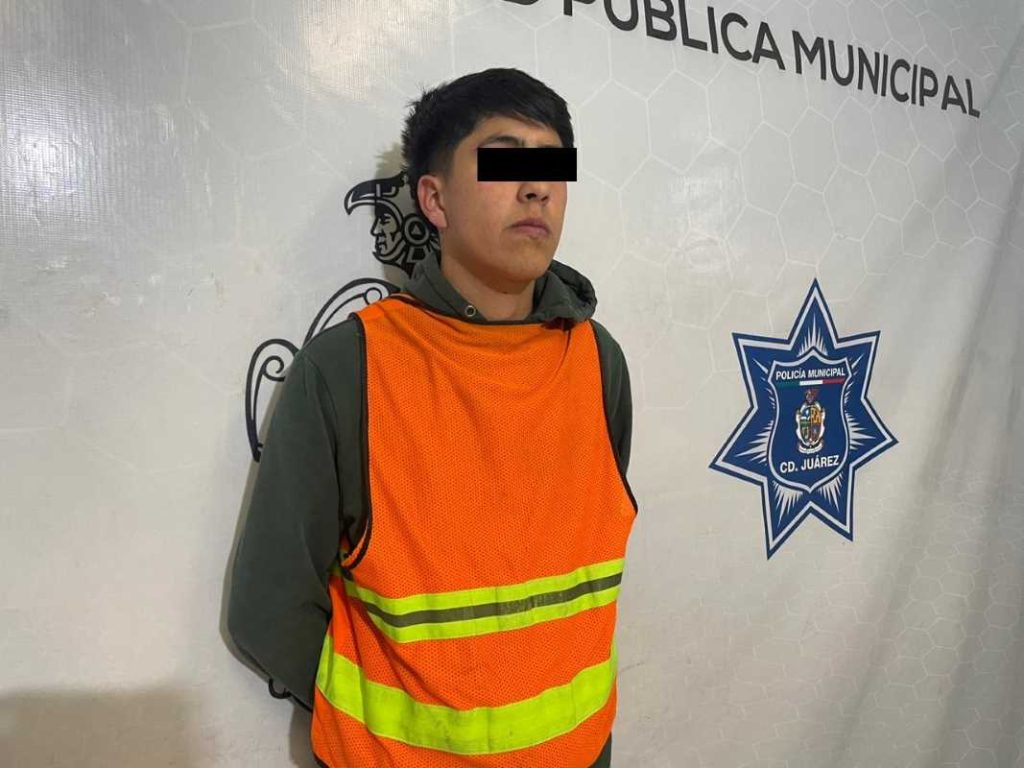 traia cartuchos con canabis