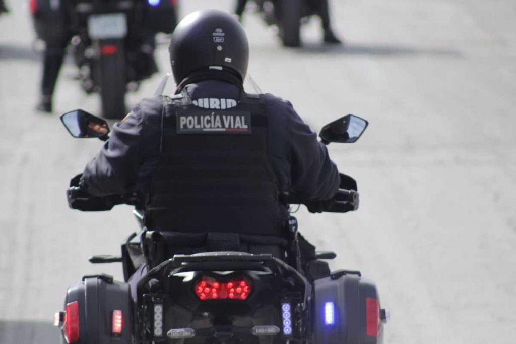 vigilancia en parques