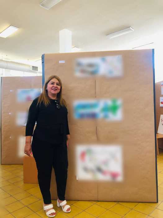maestra biblioavion