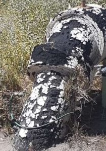 fuga