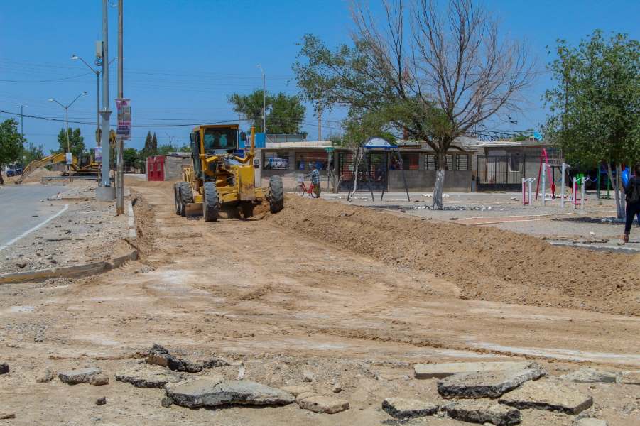 repavimenta edo