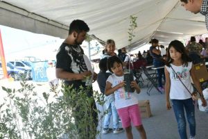 donacion arboles