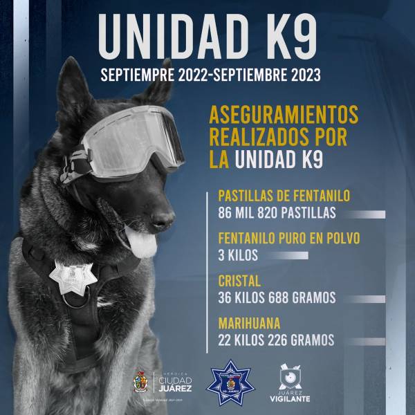 resultados binomio
