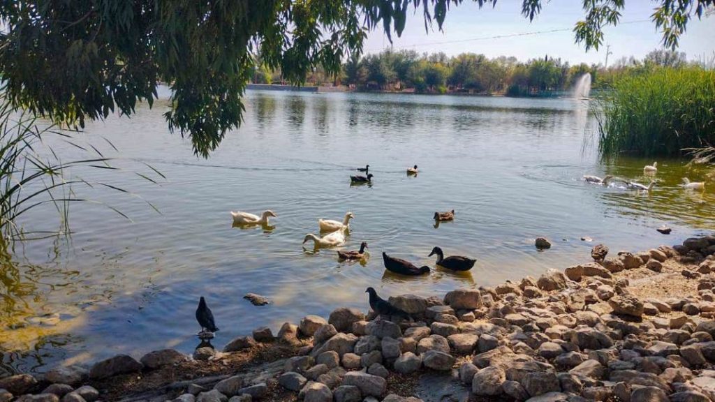 mejoran parque central