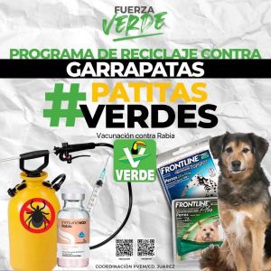patitas verdes