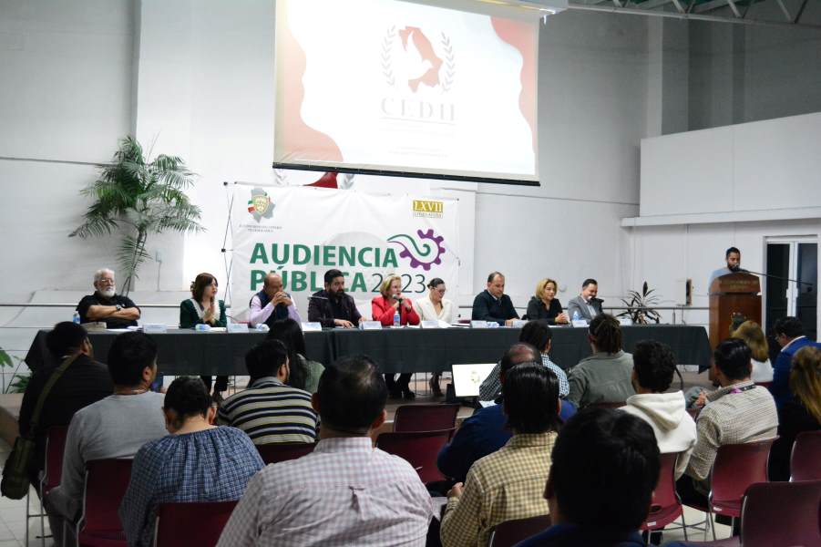 Adriana Terrazas-audiencia publica