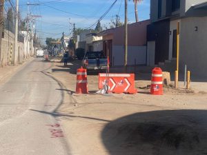 bachea jmas campestre
