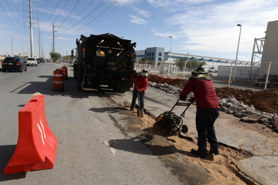 bacheo