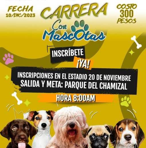 carrera perros