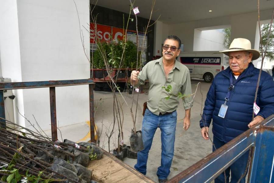 donacion arboles edo