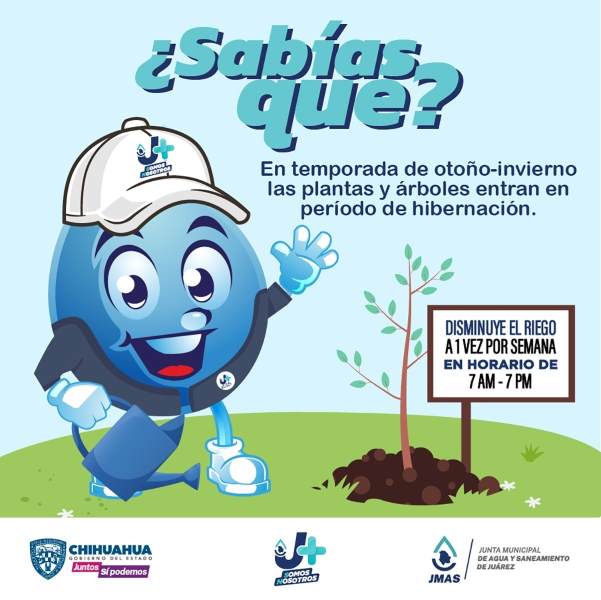 horario de riego jardines