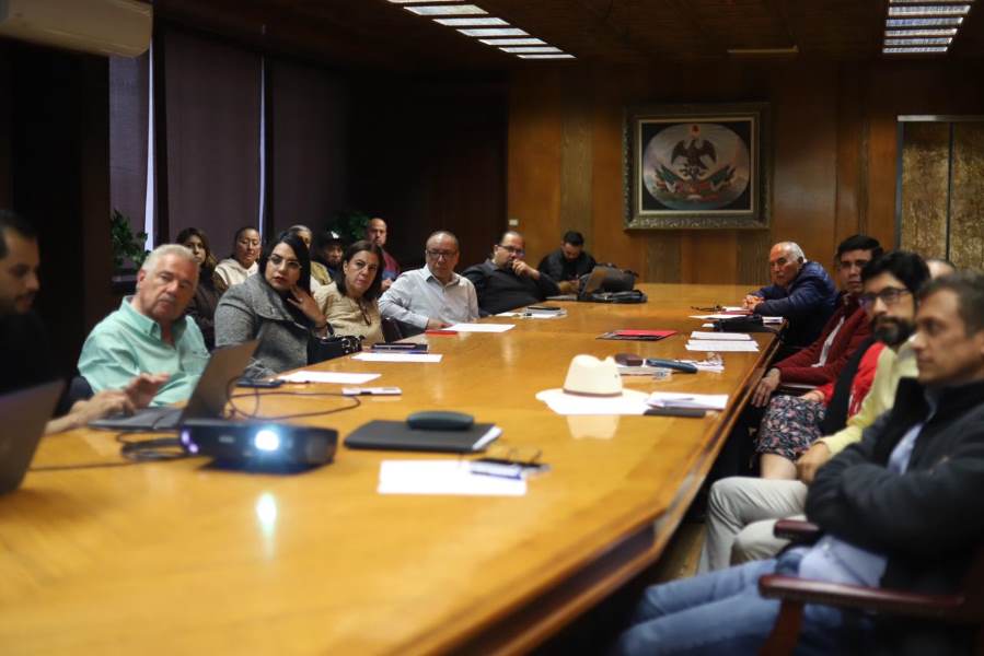 proyectos presupuesto participativo en linea