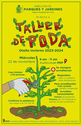 taller podas
