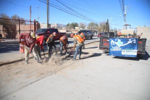 jmas trabajos linea morada