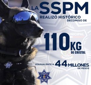 millonario decomiso en droga