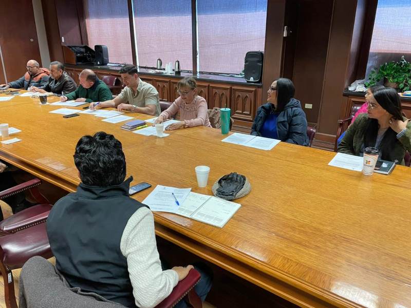 consejo participaciaon ciudadana