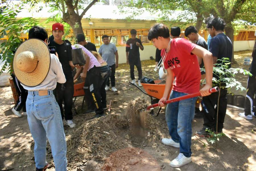 jornadas voluntarios chami